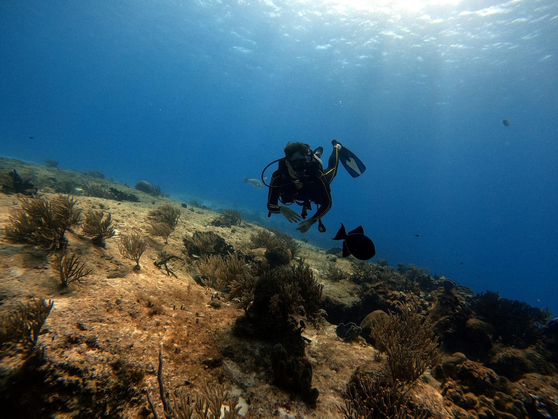 A scuba diver in Cozumel, Mexico.