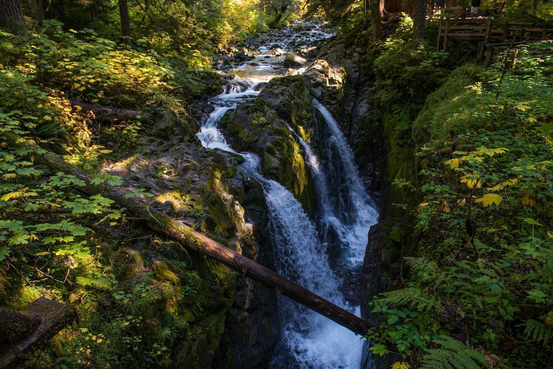 A waterfall in Olympic National Park, Washington, USA.