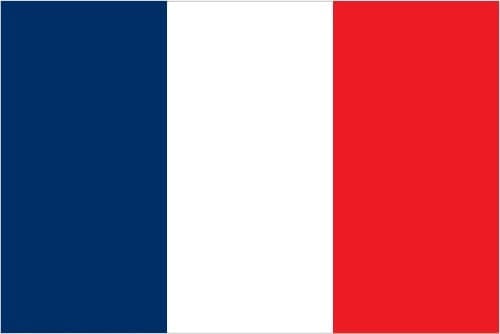 An image of the French Flag