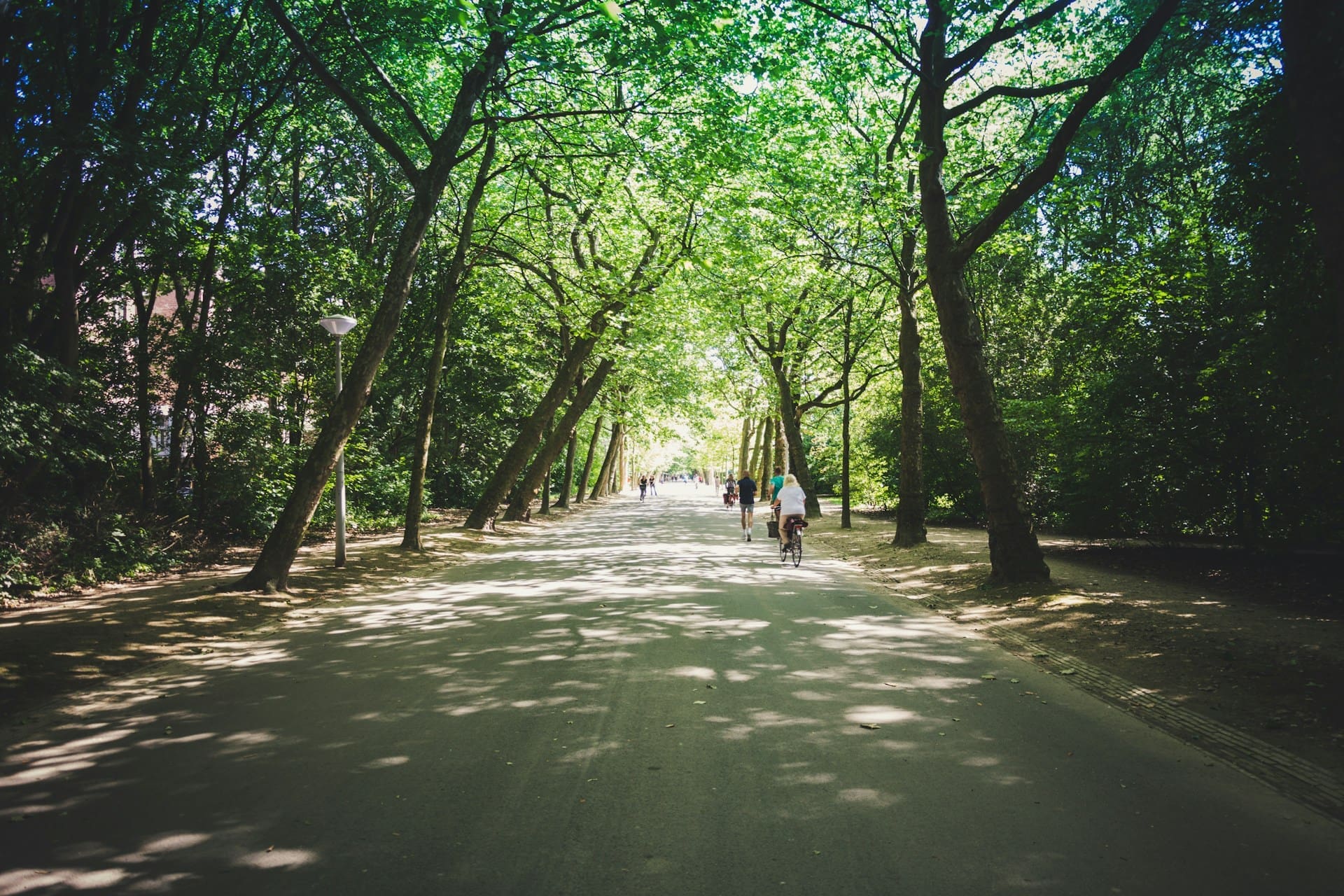 A photo of Vondelpark in the Oud-West neighborhood of Amsterdam.