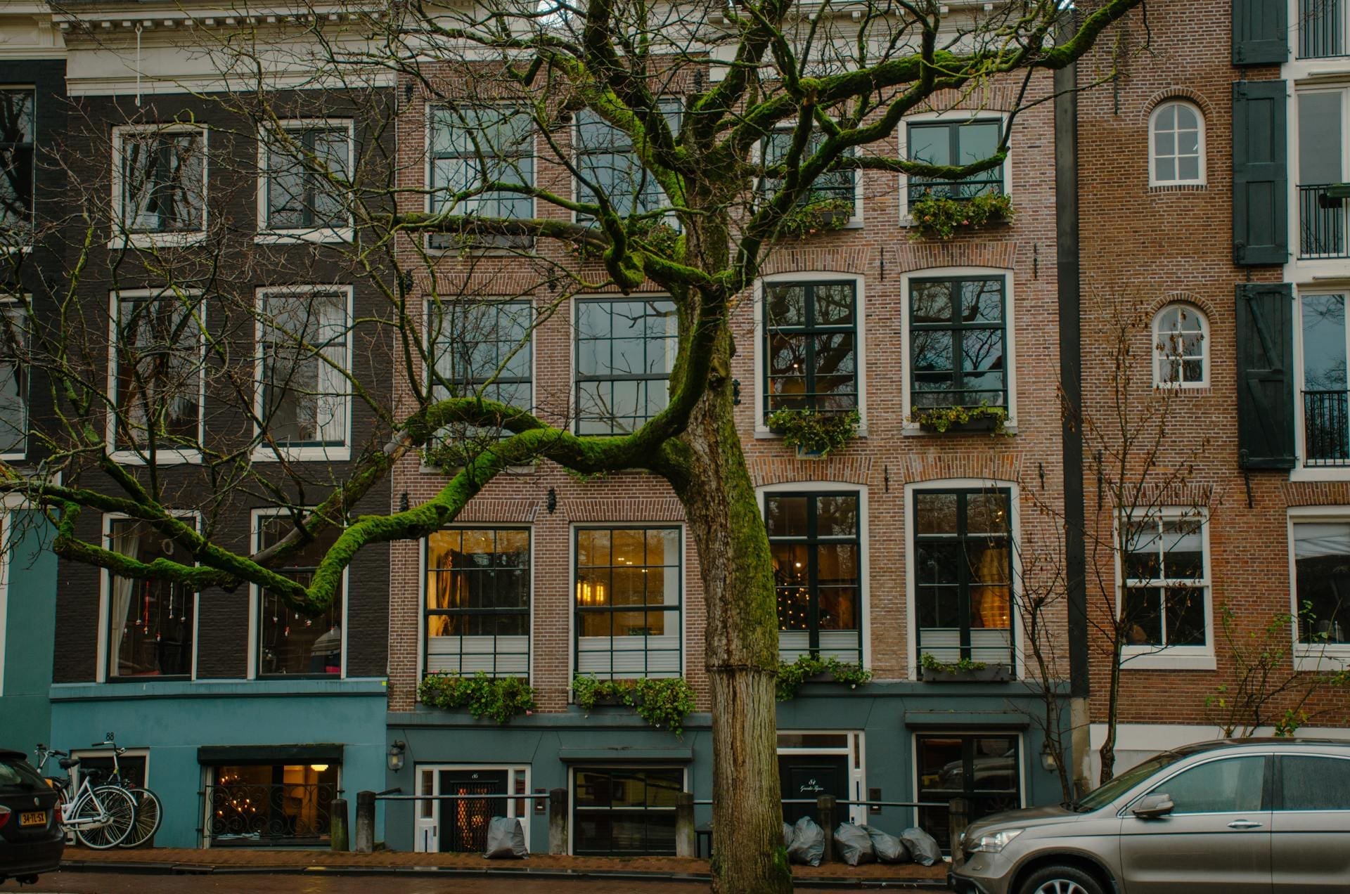 A photo of houses in the Plantage neighborhood of Amsterdam.