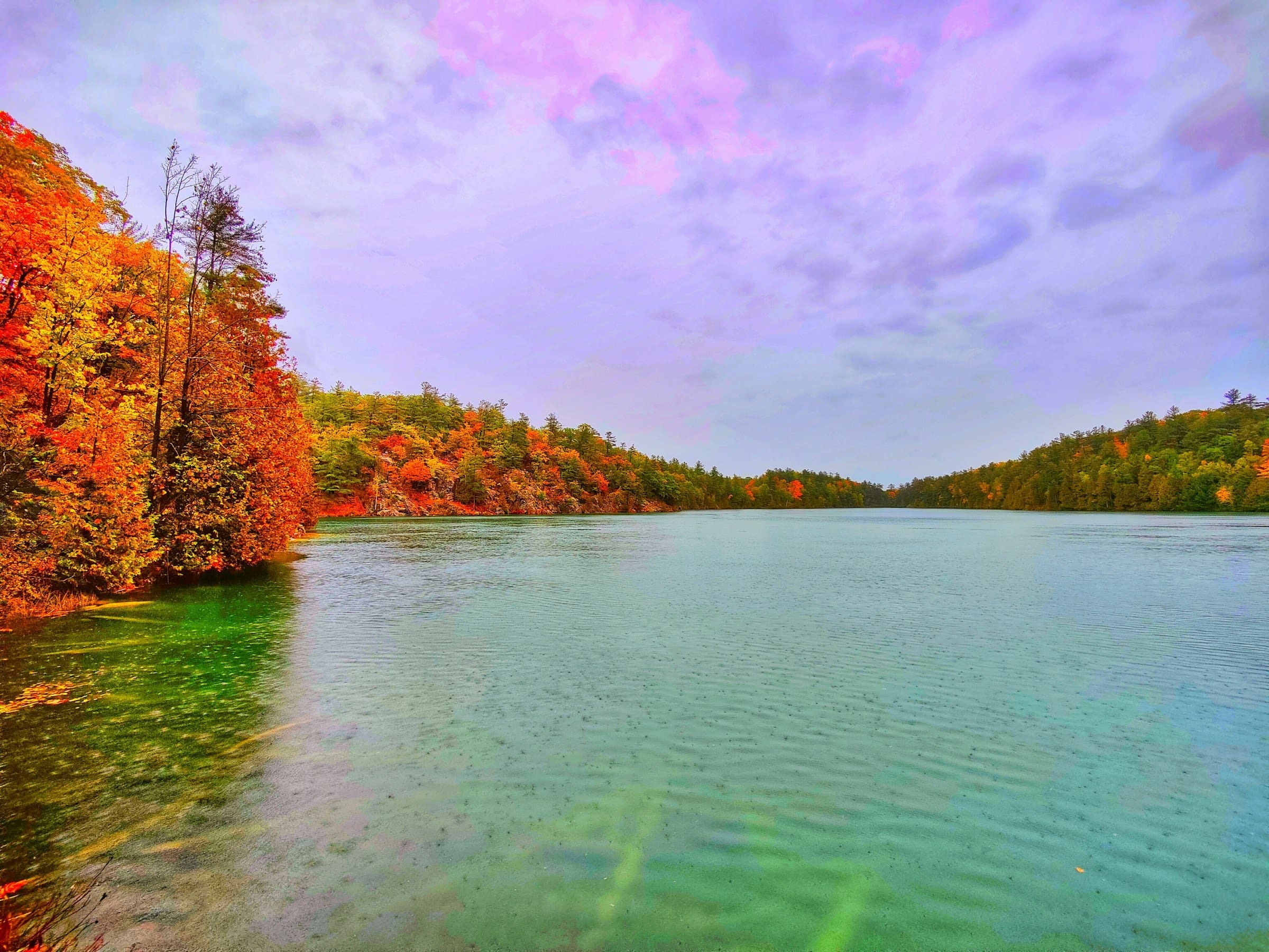 An autumn scene near a lake in Gatineau National Park.